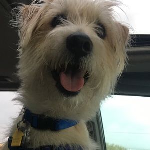 Meet your Posher, Alejandra